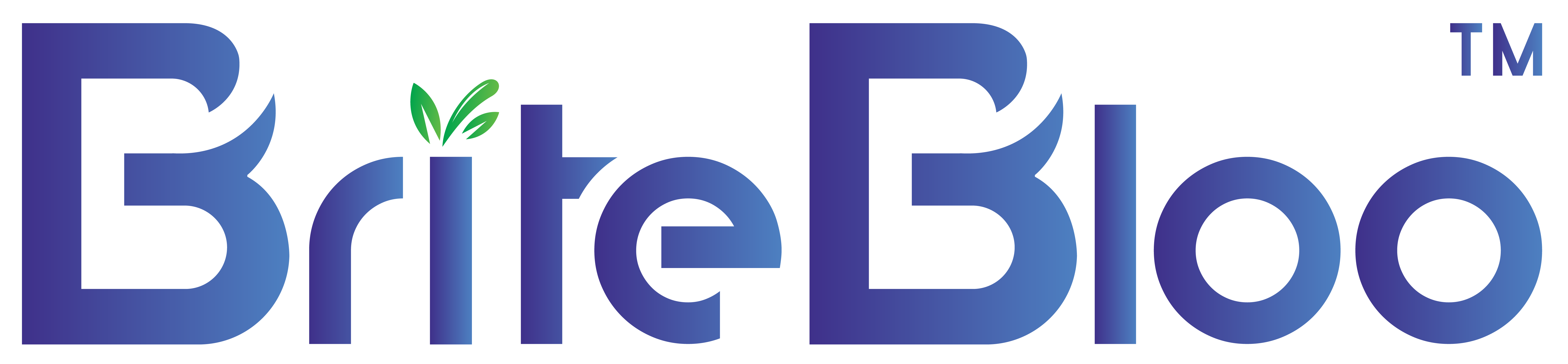 BriteBloo Logo Design 2025